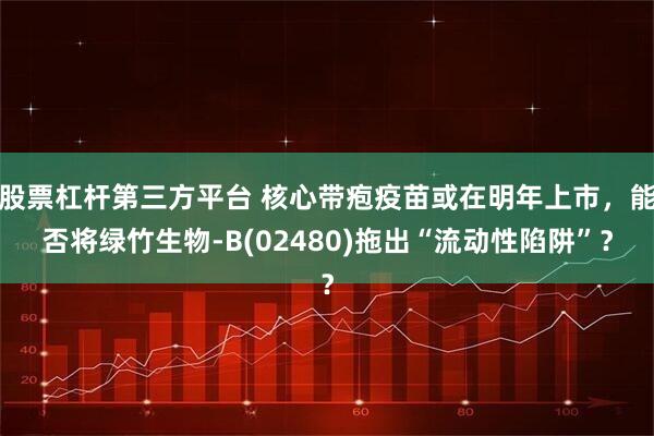 股票杠杆第三方平台 核心带疱疫苗或在明年上市，能否将绿竹生物-B(02480)拖出“流动性陷阱”？