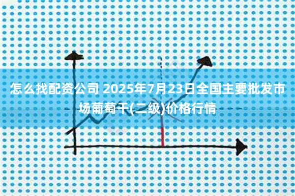 怎么找配资公司 2025年7月23日全国主要批发市场葡萄干(二级)价格行情